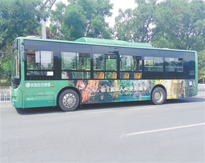 p50_b.jpg