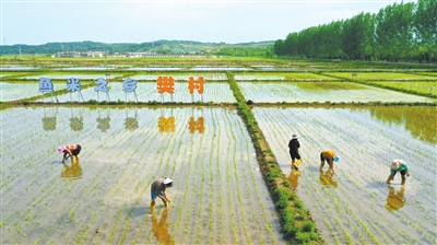 p67_b.jpg