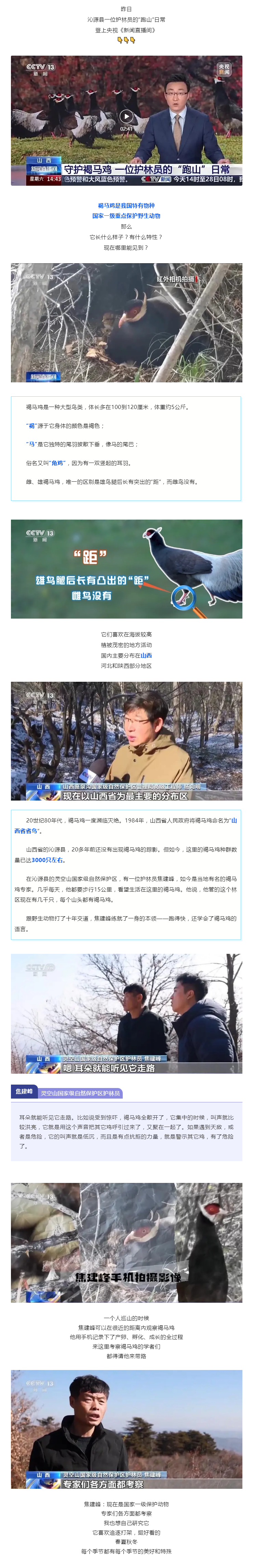 央视报道！长治沁源守护“省鸟”的护林员！.png